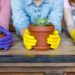 Plantas que florescem o ano todo e são simples de cultivar em casa