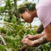 A planta medicinal que agrada tanto jardineiros quanto donas de casa