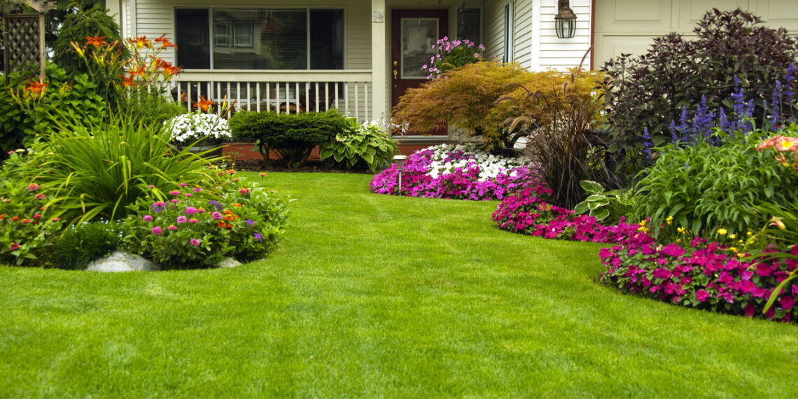 O que essas plantas escondem para decorar seu jardim você não vai imaginar o impacto