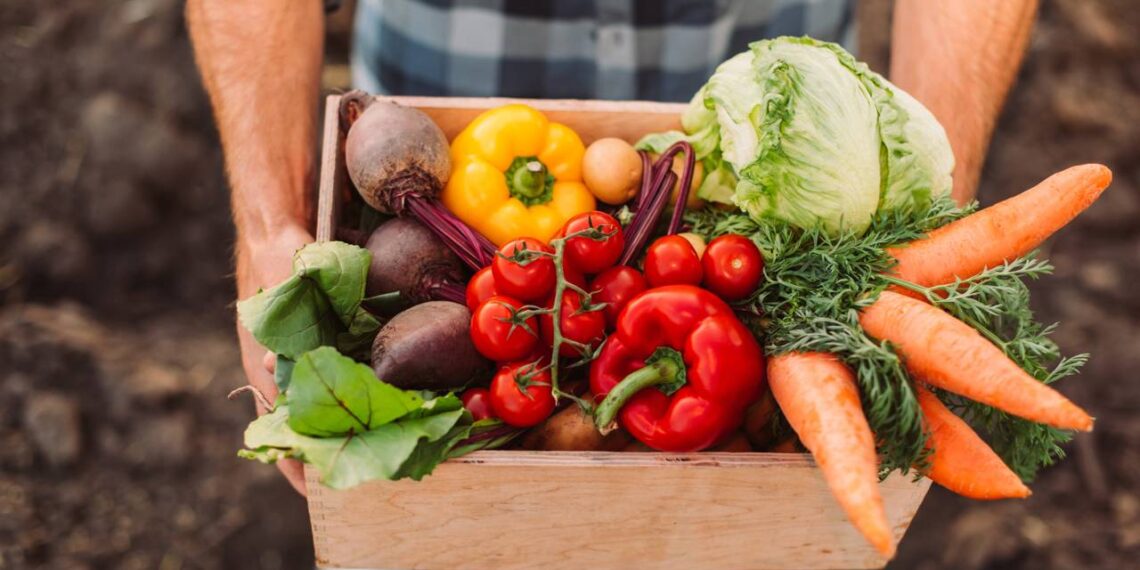 Como combinar vegetais pode aumentar sua energia, segundo nutricionistas