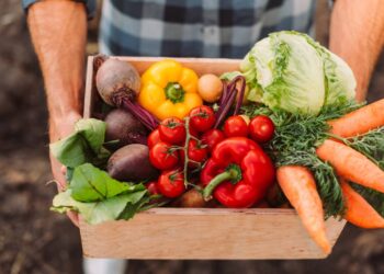 Como combinar vegetais pode aumentar sua energia, segundo nutricionistas