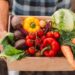 Como combinar vegetais pode aumentar sua energia, segundo nutricionistas