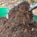 Adubo de verdade, nem produto químico: o que suas plantas realmente precisam