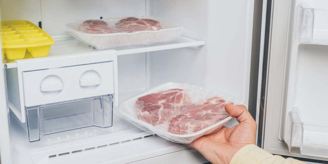 Este material comum pode comprometer a segurança dos alimentos no freezer