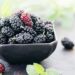 Como cultivar amora em vaso e colher frutas saborosas