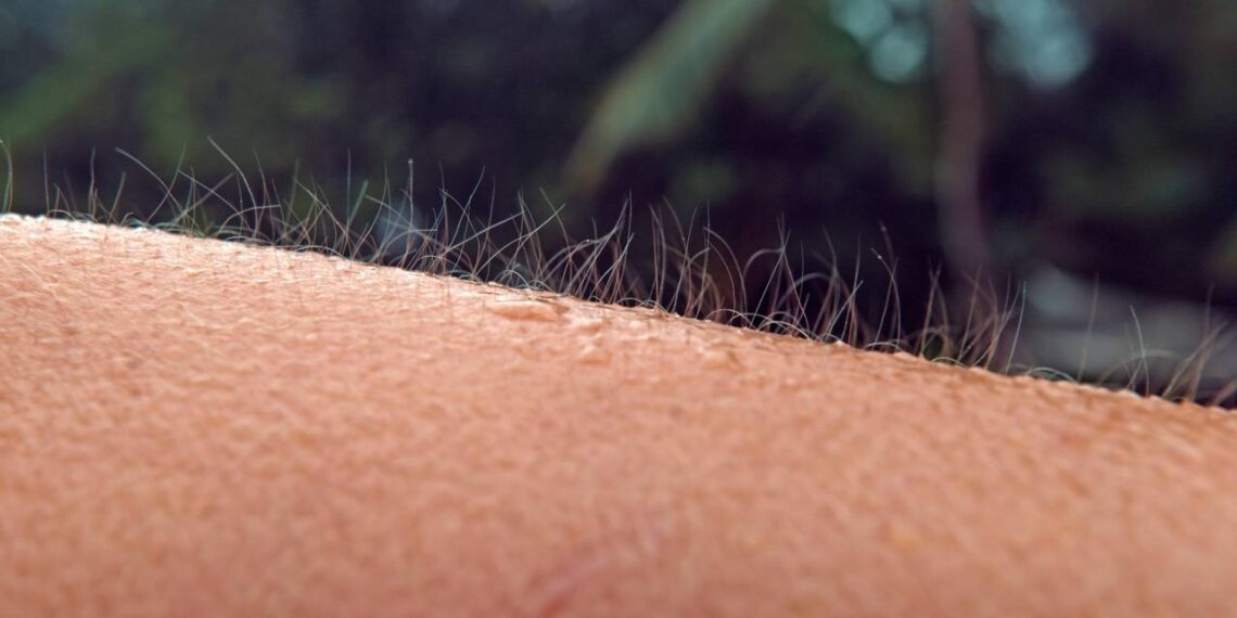 Por que sentimos arrepio quando ouvimos uma música e o que isso diz sobre nossas emoções