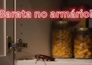 Estes hábitos facilitam a entrada das baratas nos armários