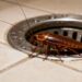 Este item impede baratas de subirem pelo ralo da sua casa