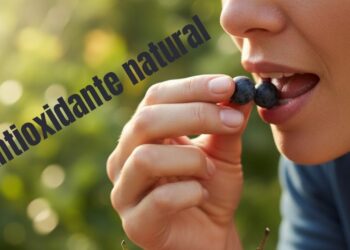 A casca desta fruta é um dos antioxidantes naturais mais potentes para a saúde