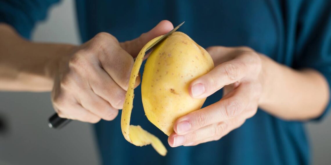 Adicionar cascas de batata no limoeiro pode transformar sua colheita