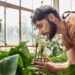 Essas plantas melhoram o sono, aliviam o estresse e renovam a energia da casa