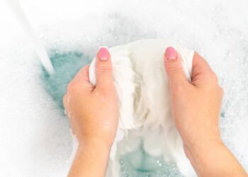 Revelado truque natural para manter as formigas longe da sua cozinha mesmo no calor