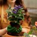 Astrologia explica por que cuidar de plantas reduz o estresse
