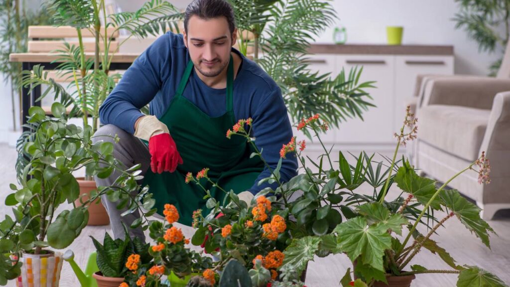 Astrologia explica por que cuidar de plantas reduz o estresse
