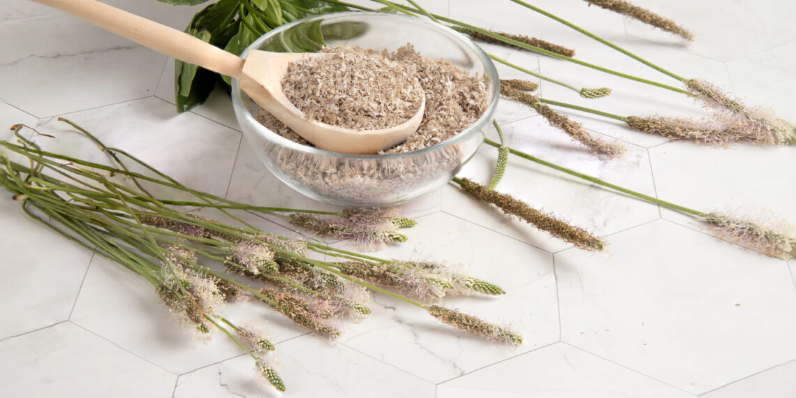 Psyllium, a fibra que vai te ajudar a emagrecer de forma natural