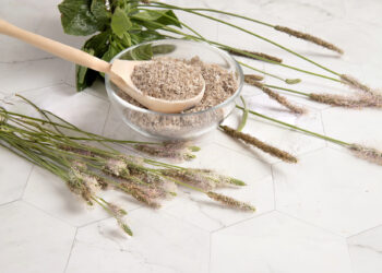 Psyllium, a fibra que vai te ajudar a emagrecer de forma natural