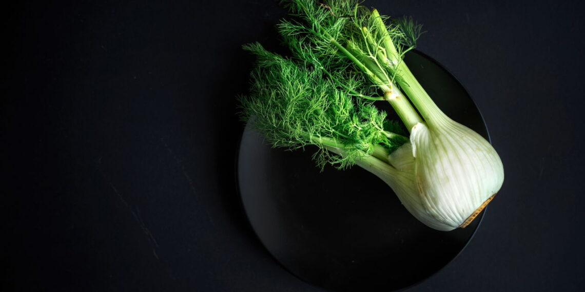 5 plantas medicinais que tratam e ainda decoram seu lar