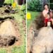 Ao tentar remover pedra no jardim, homem encontra rocha gigante de mais de 4 toneladas