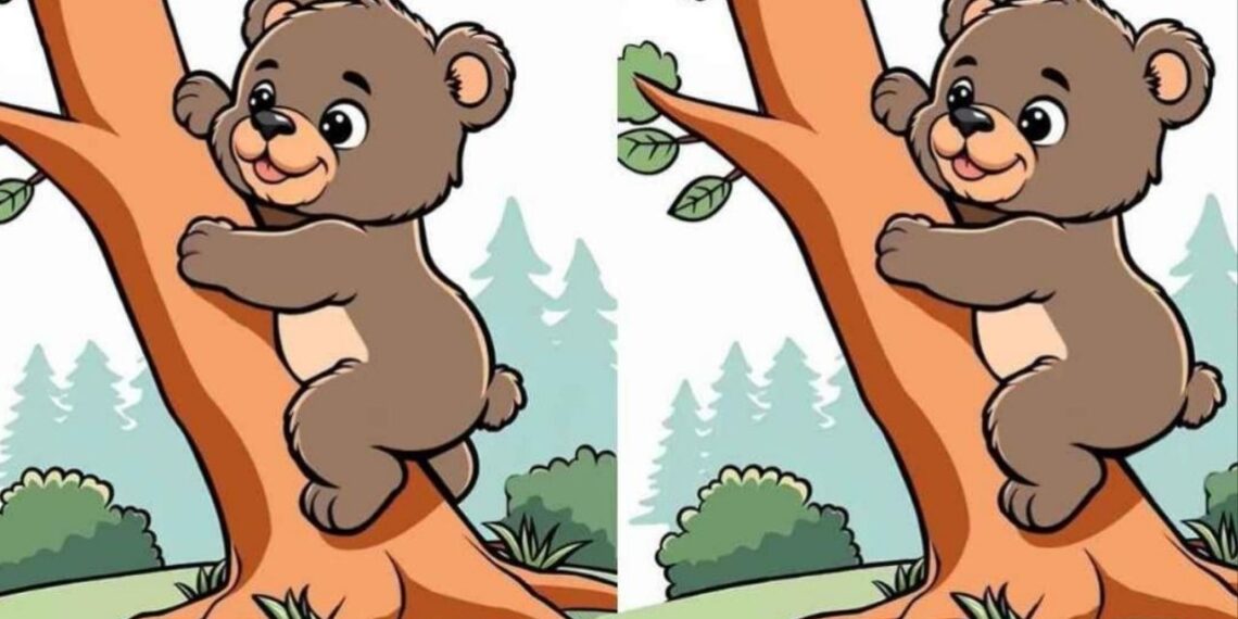 Um quebra-cabeça para quem tem visão de falcão: encontre 3 diferenças em imagens de ursos