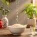 Onde colocar um pote com arroz e para que serve, segundo o feng shui