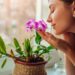 Astrologia na decoração, flores que combinam com os signos