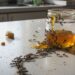 3 temperos naturais que afastam formigas da cozinha