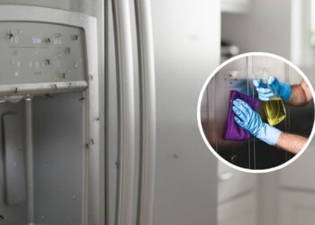 Soluções para eliminar as formigas da geladeira sem produtos químicos