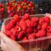 Conheça a fruta que melhora a saúde cardiovascular e garante o bem-estar