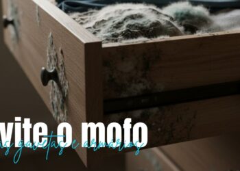 Receita caseira para evitar mofo em gavetas e armários