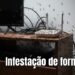 Como evitar formigas no rack da TV: soluções eficazes e seguras