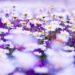 5 flores ideais para plantar em outubro e garantir um jardim colorido no verão
