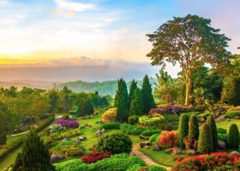 O segredo por trás dos jardins mais floridos da primavera começa no outono