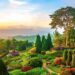 O segredo por trás dos jardins mais floridos da primavera começa no outono