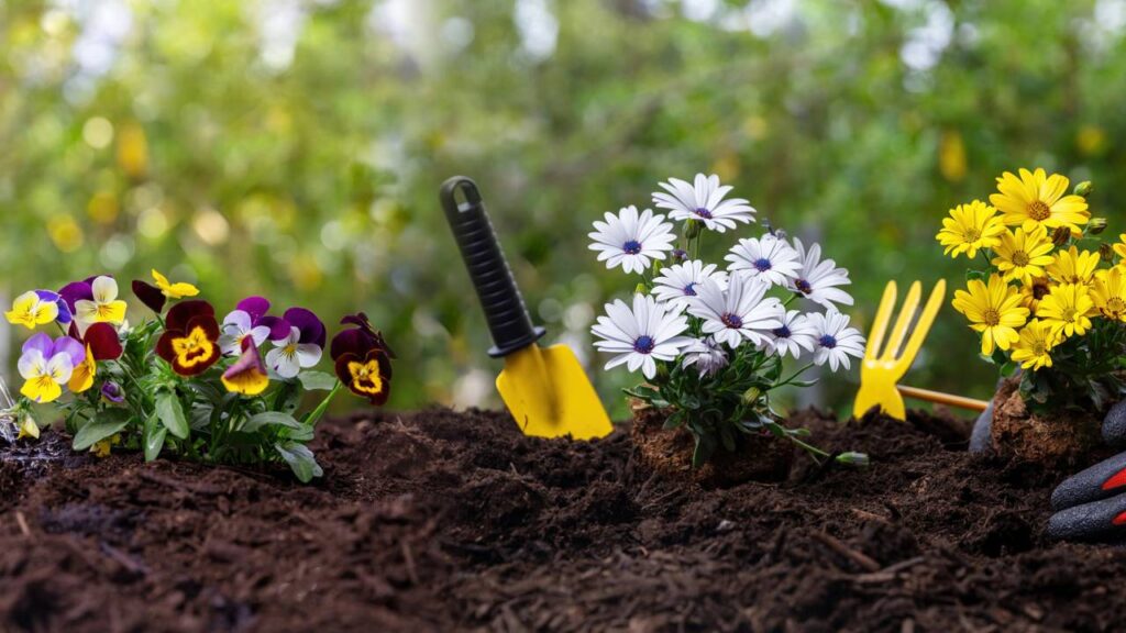Como usar a astrologia para escolher a melhor época de plantar e colher
