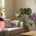 Esta planta é um excelente repelente natural e uma decoração incrível para a casa