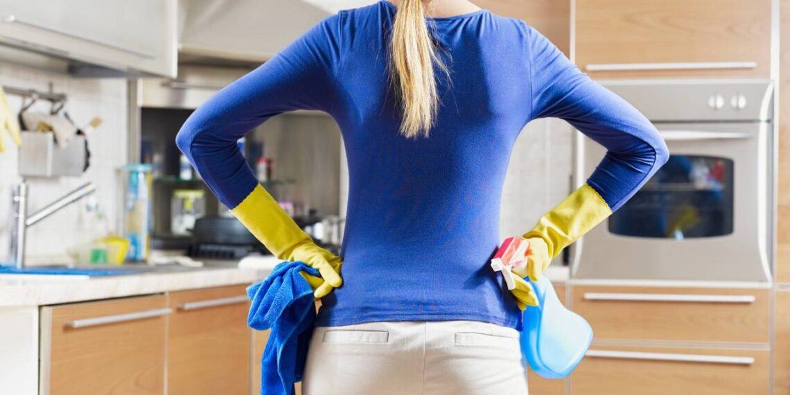 Você pode estar atraindo pragas para sua cozinha com sua esponja e panos úmidos