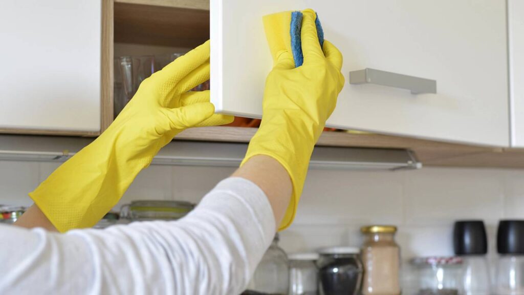 O método simples e eficaz para eliminar traças da cozinha e evitar que voltem