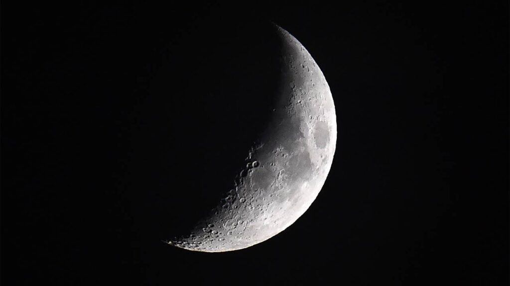 A influência da lua no crescimento das folhas, segundo astrólogos