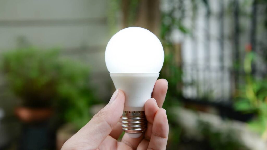 Se você acender esta luz, prepare-se para uma invasão de mosquitos