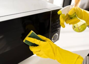 Se há insetos no seu micro-ondas, é provável que você esteja cometendo um desses erros