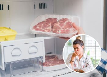 Esse ingrediente mantém o freezer livre de pragas e odores