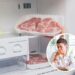 Esse ingrediente mantém o freezer livre de pragas e odores