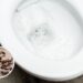Evite insetos escondidos atrás do vaso sanitário com essas dicas