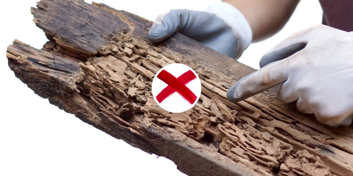 Mistura natural para eliminar cupins sem estragar a madeira