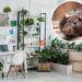 3 plantas para afastar roedores de casa nos meses frios