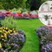Plantas para alegrar a primavera e aquecer os dias frios