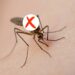 Acabe com os mosquitos na sua casa com essa técnica natural