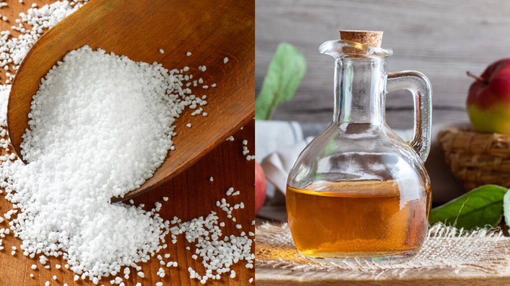 Esta mistura natural elimina as baratas do forno sem esforço