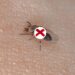 Estas plantas tropicais criam uma barreira natural contra mosquitos e borrachudos