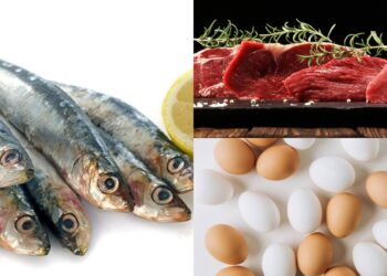 5 alimentos mais nutritivos do mundo